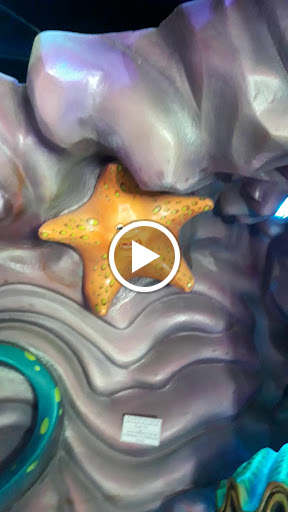 Museum «The Holy Land Experience», reviews and photos, 4655 Vineland Rd, Orlando, FL 32811, USA