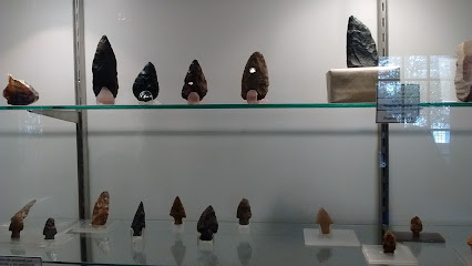 Museo de Antropología y Ciencias Naturales