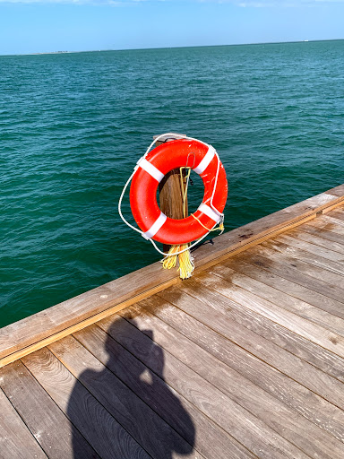 Gift Shop «Sand Dollar Gift Shop», reviews and photos, 5302 Marina Dr, Holmes Beach, FL 34217, USA