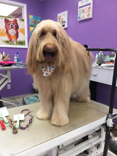 Pet Groomer «Mario`s Pet Grooming & Boutique», reviews and photos, 708 SE 17th St, Fort Lauderdale, FL 33316, USA