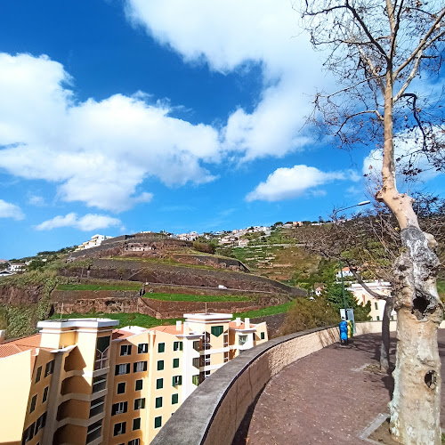 Avaliações doMadeira, Serpentinen zum Aussichtsplateau em Funchal - Agência de viagens