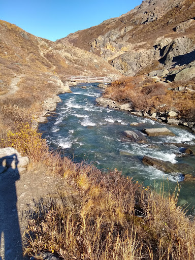 National Park «Denali National Park and Preserve», reviews and photos