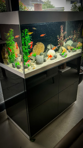 Aquarienliebe - Dieterle Teich- und Gartenbau unter Lauchringen, 