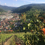 Photo n°9 de l'avis de Dr... fait le 26/05/2019 à 19:52 sur le  Schloss Eberstein à Gernsbach