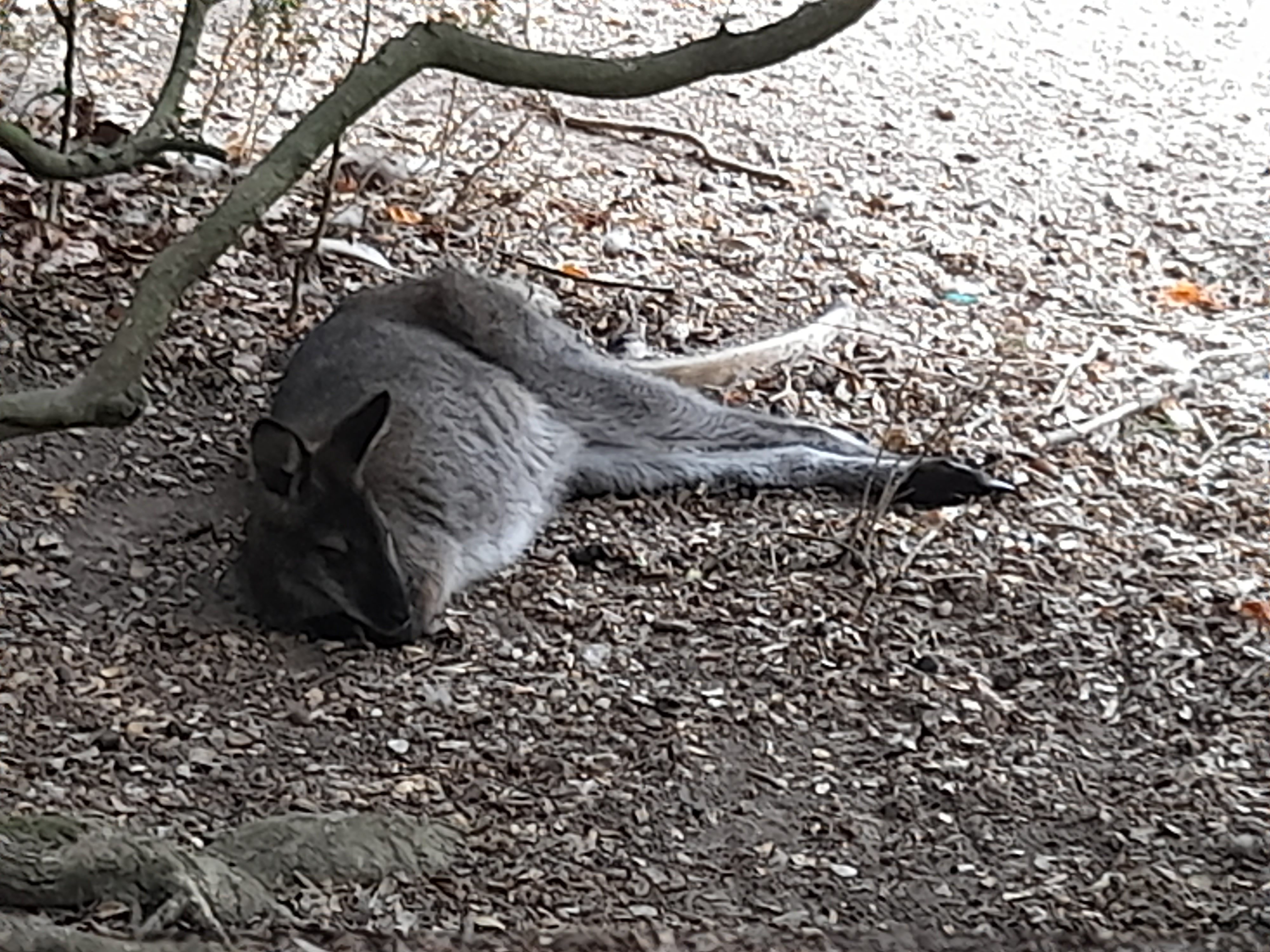 Photo n° 8 de l'avis de pauline.o fait le 15/08/2022 à 18:00