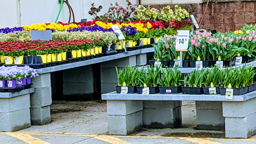 Home Improvement Store «The Home Depot», reviews and photos, 1035 US-1, Edison, NJ 08837, USA