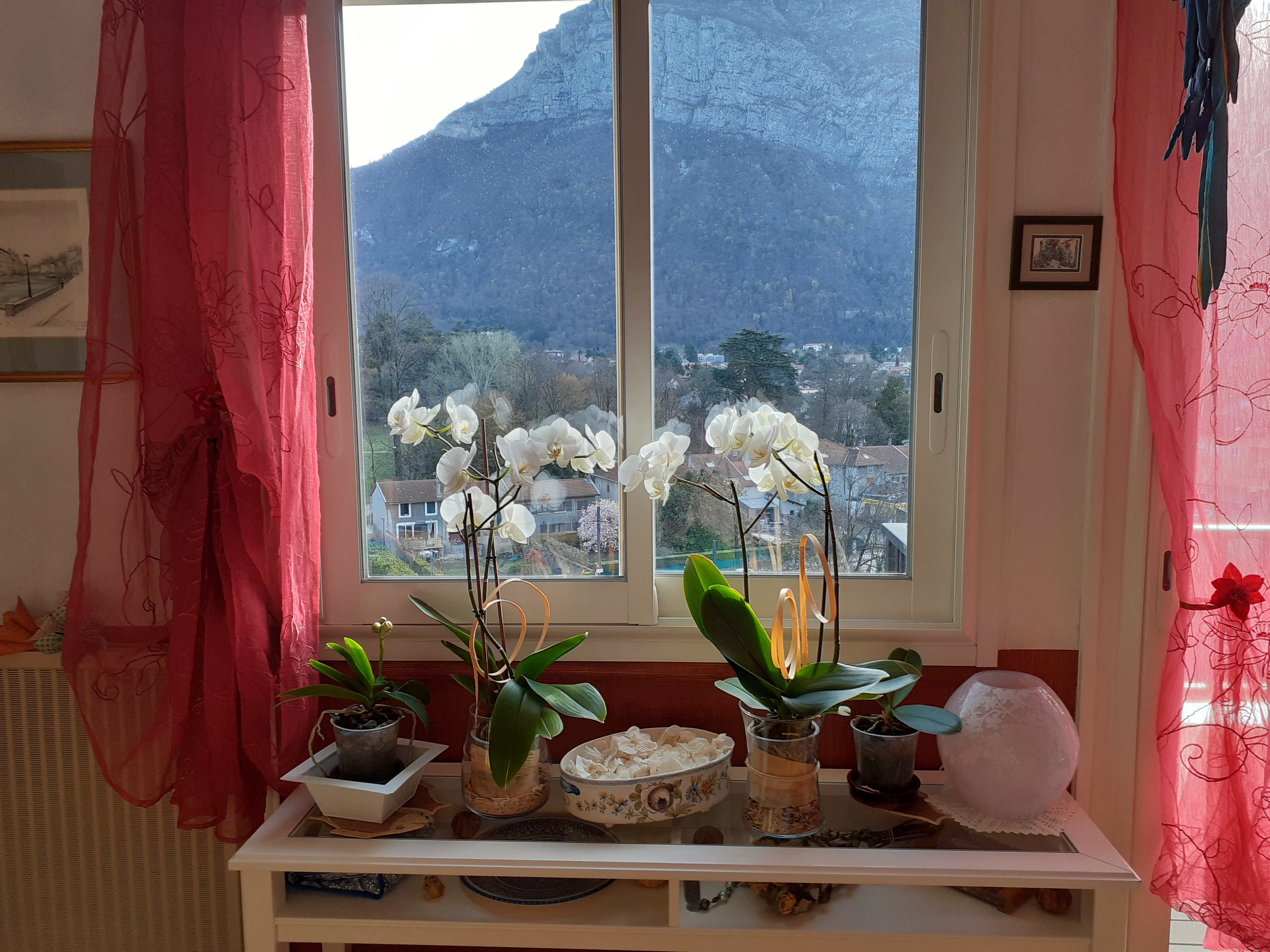 Photo n° 2 de l'avis de Marie-Annick.o fait le 26/03/2022 à 14:42