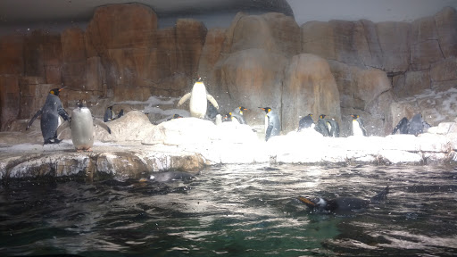 Foundation «The Henry Doorly Zoo», reviews and photos, 3701 S 10th St, Omaha, NE 68107, USA