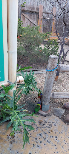 Gift Shop «Pacific Collections Gift Shop», reviews and photos, 100 Aquarium Way, Long Beach, CA 90802, USA