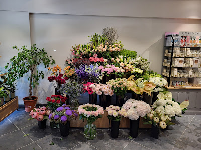 Monceau Fleurs à Annecy