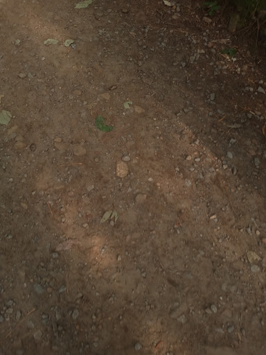 National Park «Kennesaw Mountain National Battlefield Park», reviews and photos, 900 Kennesaw Mountain Dr, Kennesaw, GA 30188, USA