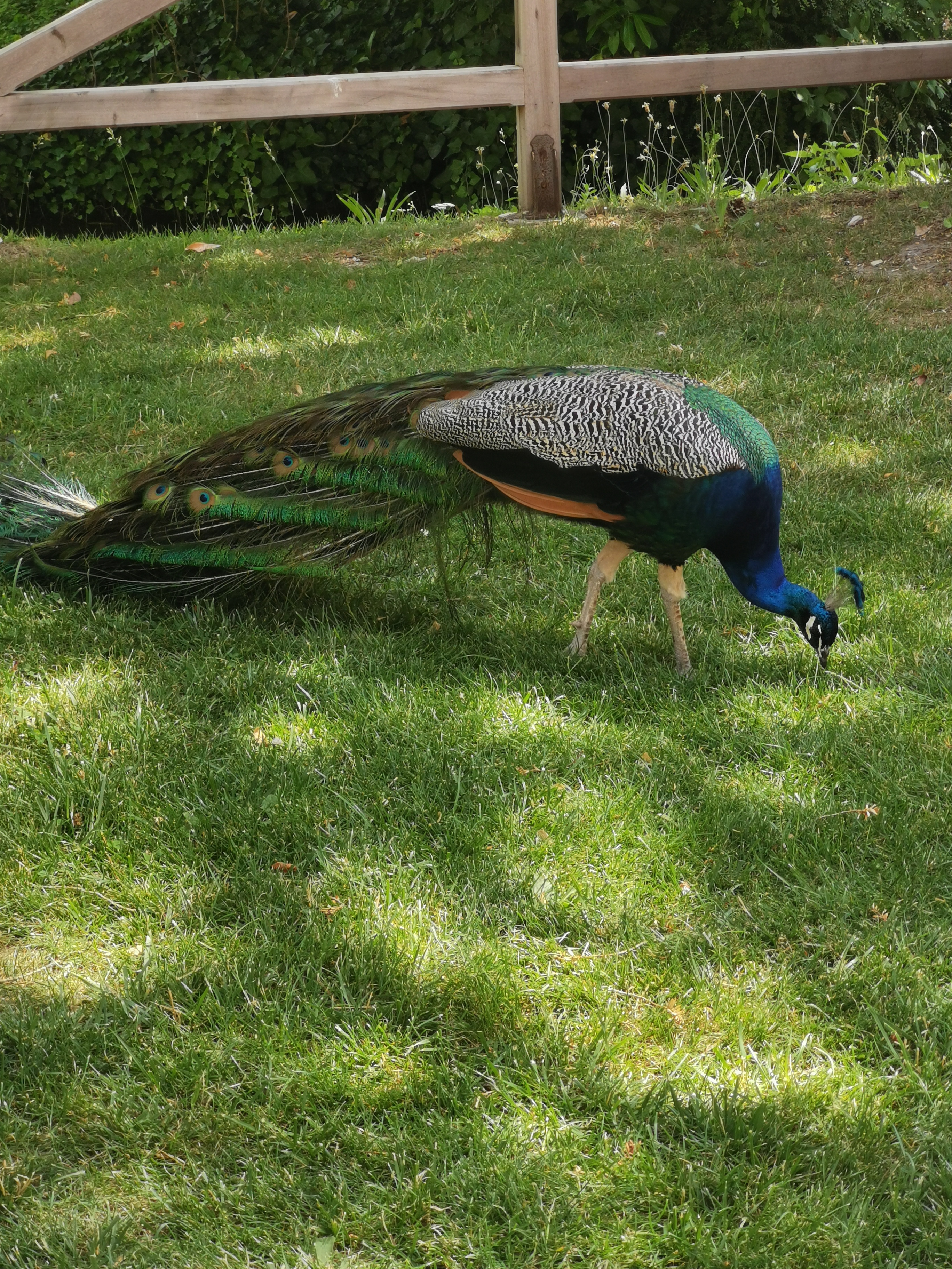 Photo n° 16 de l'avis de Lee.a fait le 18/06/2023 à 16:21