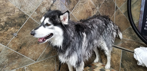 Pet Supply Store «Pet Valu», reviews and photos, 3563 Washington Rd, Canonsburg, PA 15317, USA