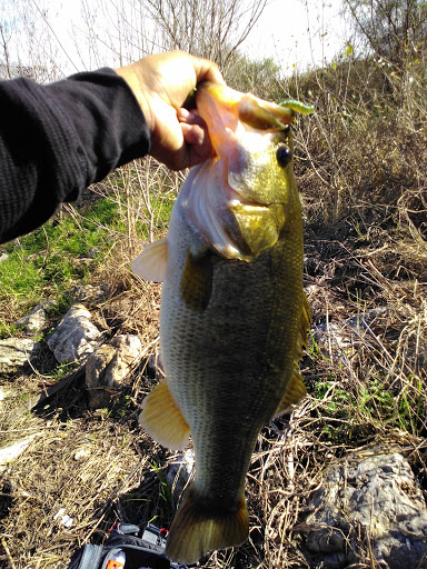 Golf Course «Riverside Golf Course», reviews and photos, 203 McDonald, San Antonio, TX 78210, USA