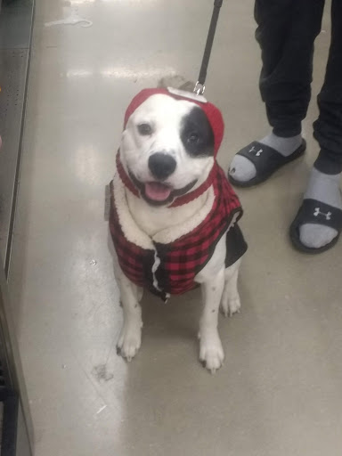 Pet Supply Store «Petco Animal Supplies», reviews and photos, 1574 N Dupont Hwy #300, Dover, DE 19901, USA