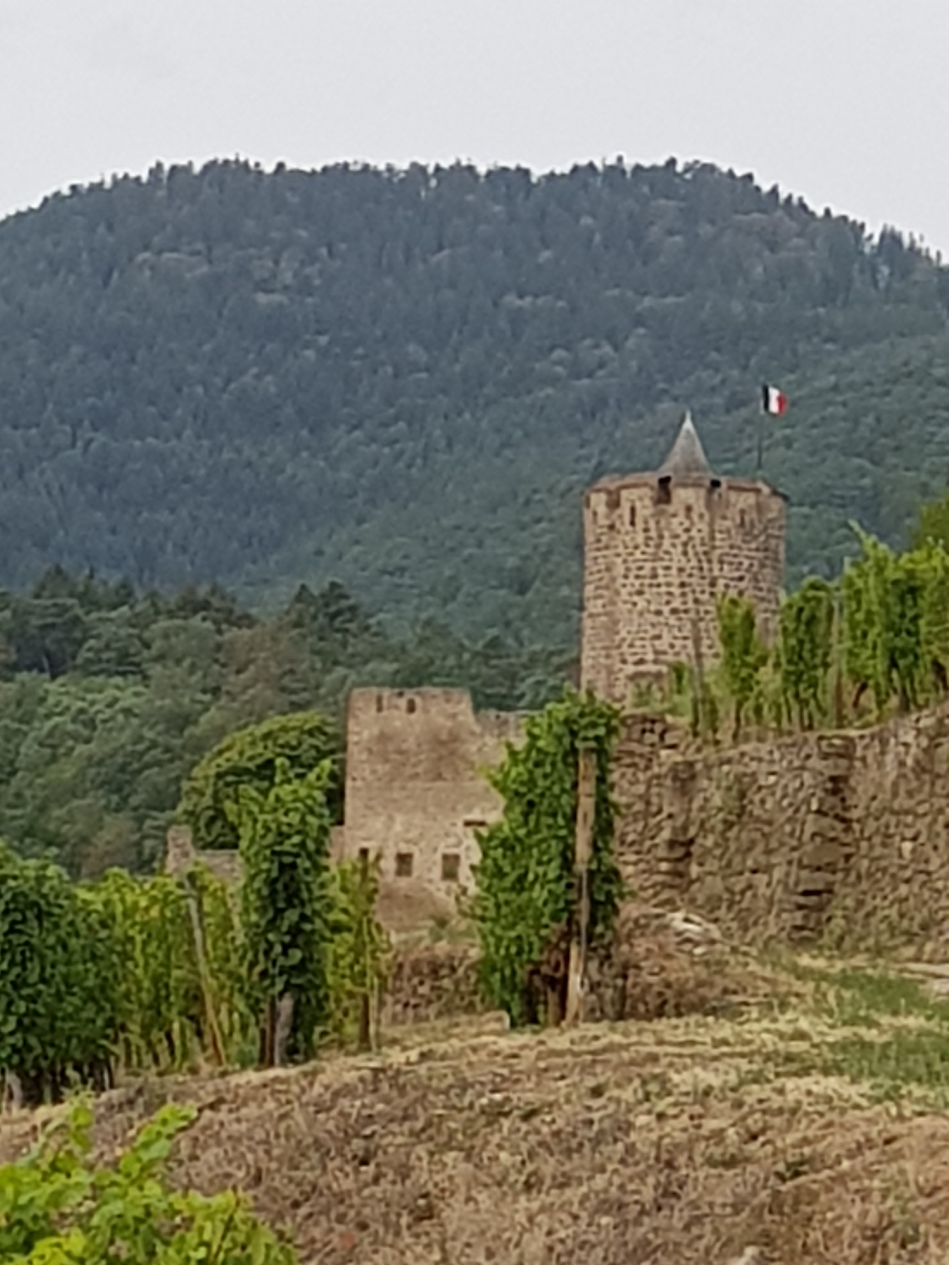 Photo n° 4 de l'avis de Alain.o fait le 28/08/2020 à 17:14
