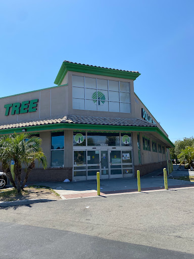 Dollar Store «Dollar Tree», reviews and photos, 1238 S Magnolia Ave, Anaheim, CA 92804, USA