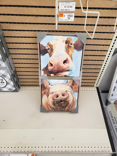 Discount Store «Big Lots», reviews and photos, 4358 S Scatterfield Rd, Anderson, IN 46013, USA