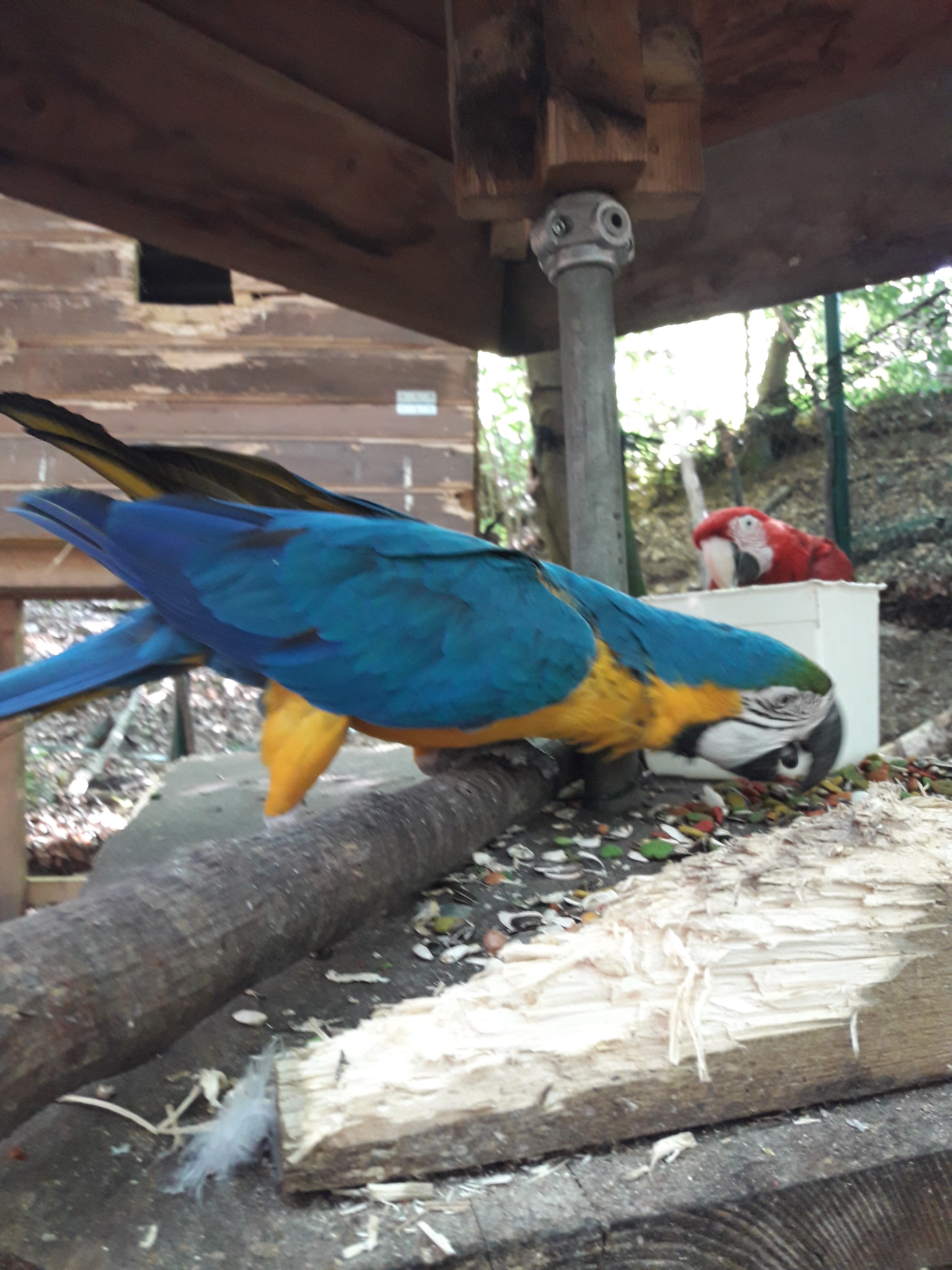 Photo n° 3 de l'avis de Christophe.l fait le 01/07/2018 à 13:30