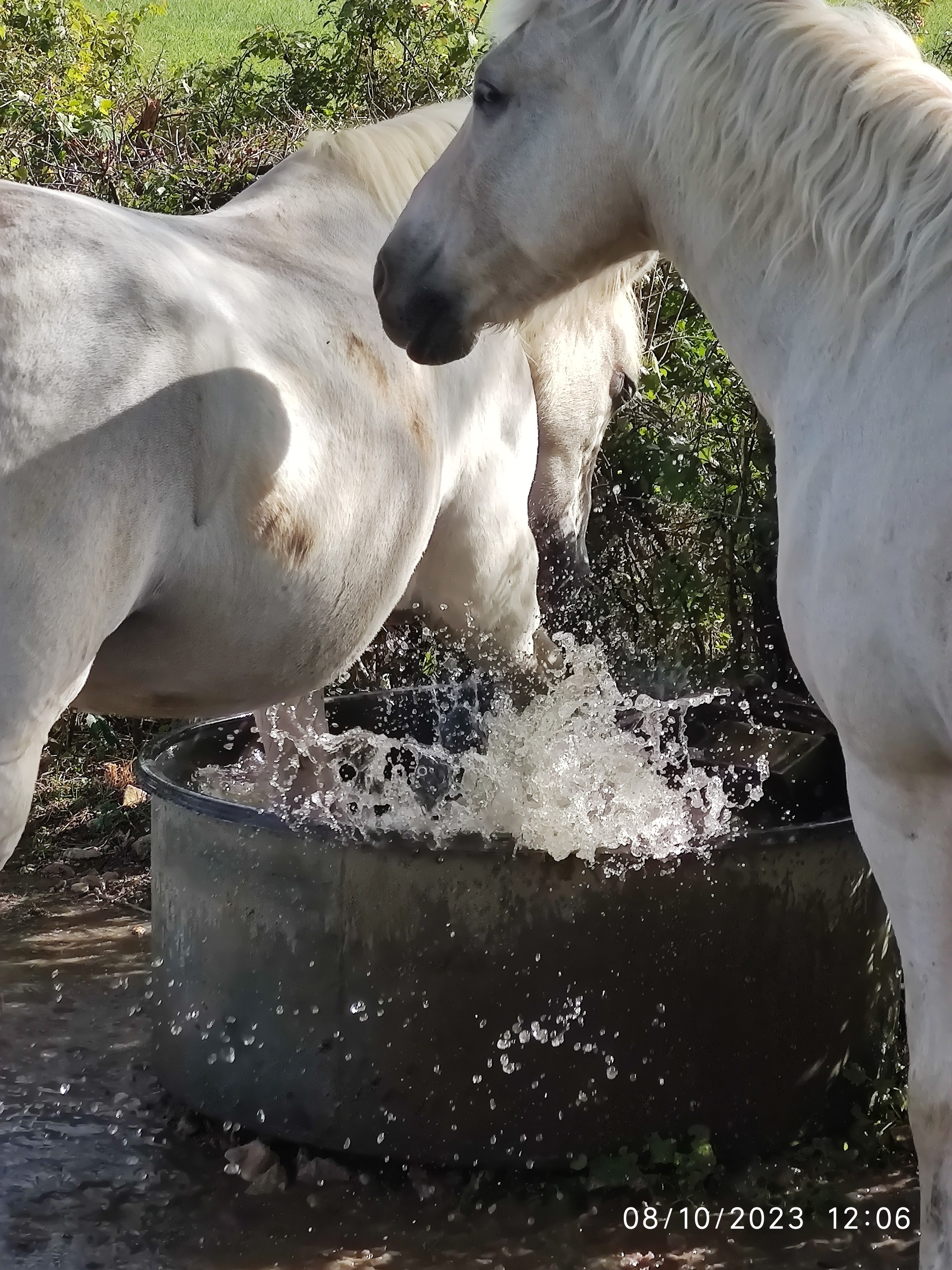 Photo n° 46 de l'avis de Patrick.i fait le 12/12/2023 à 10:07