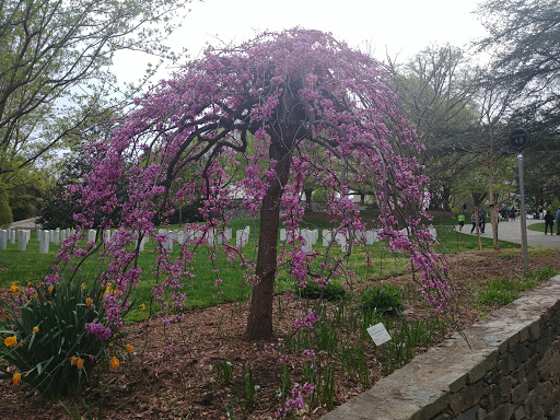 Monument «The Tomb of the Unknowns», reviews and photos, 1 Memorial Ave, Fort Myer, VA 22211, USA
