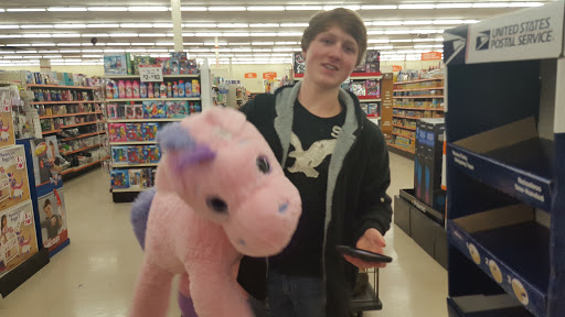 Discount Store «Big Lots», reviews and photos, 1090 Millwood Pike, Winchester, VA 22602, USA