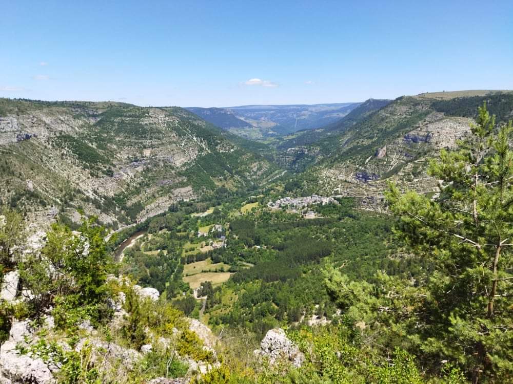 Photo n° 8 de l'avis de Les.c fait le 27/06/2021 à 17:59