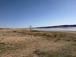 Playa del arbol'in fotoğrafı çok temiz temizlik seviyesi ile