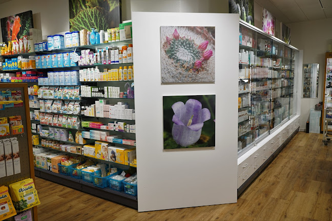 Rezensionen über Lachen-Drogerie in Arbon - Apotheke