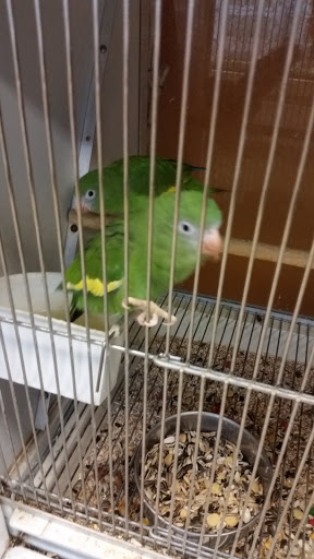 Pet Store «All Pets Club», reviews and photos, 405 Queen St, Southington, CT 06489, USA