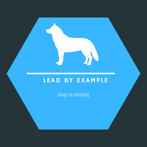 Lead by Example Dog Training