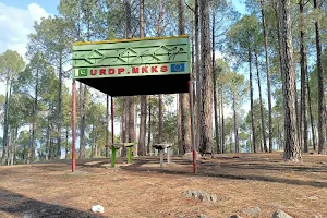 Sangsiri Forest Park image