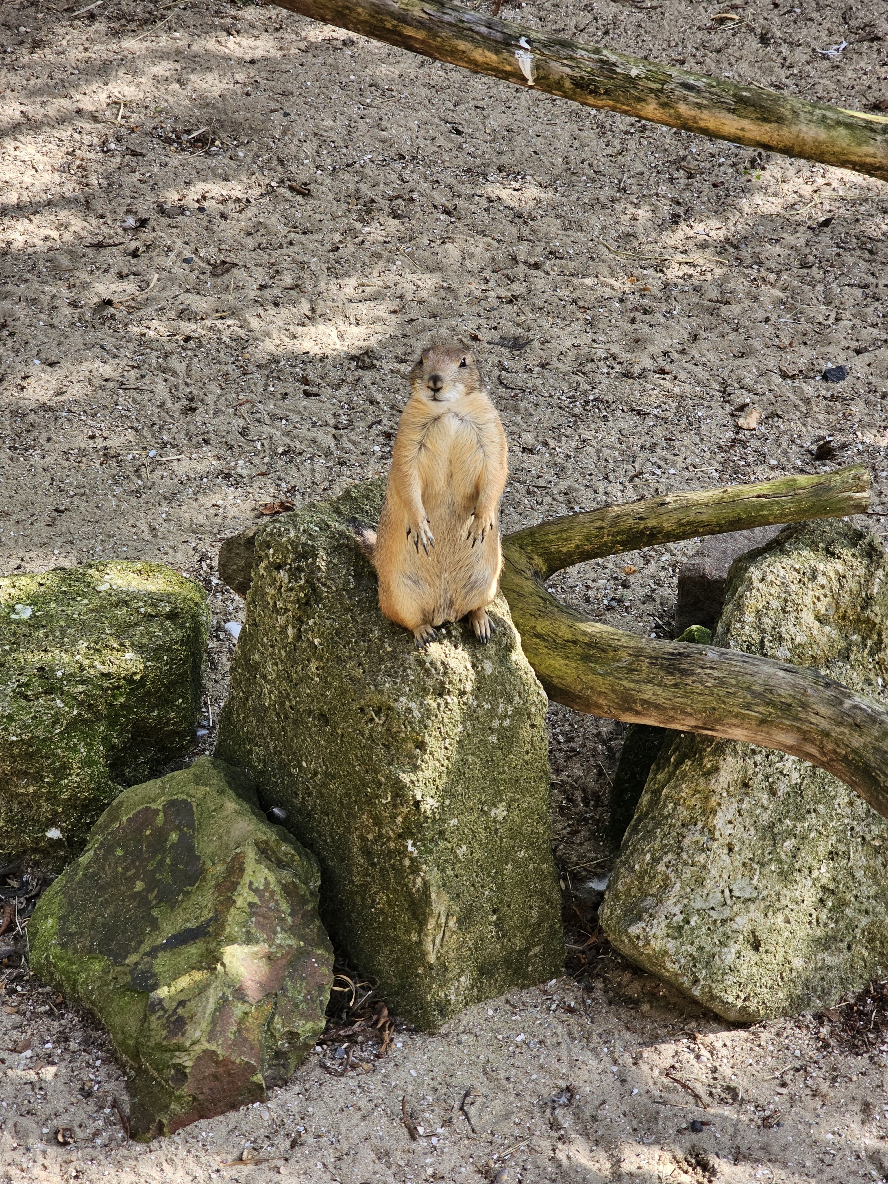 Photo n° 2 de l'avis de Marlene.U fait le 15/08/2023 à 20:08