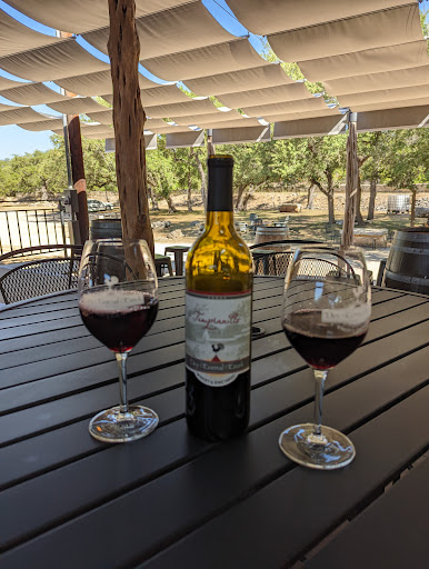 Vineyard «Dry Comal Creek Winery & Vineyards», reviews and photos, 1741 Herbelin Rd, New Braunfels, TX 78132, USA