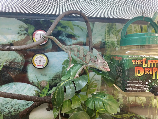 Pet Supply Store «Petco Animal Supplies», reviews and photos, 1919 El Camino Real, Mountain View, CA 94040, USA