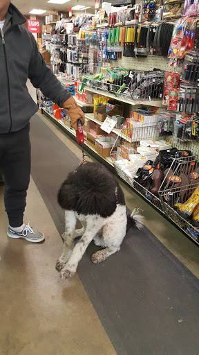 Appliance Store «Bargain Supply Company», reviews and photos, 844 E Jefferson St, Louisville, KY 40206, USA