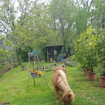 Photo n°26 de l'avis de ROBERTO.O fait le 25/04/2019 à 10:42 sur le  Farmhouse Le Noci à Tarzo