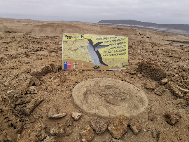 Opiniones de Museo Arqueologico Parque los Dedos en Caldera - Museo