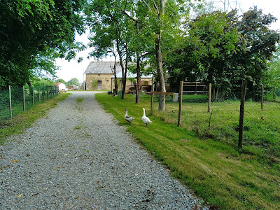 La Ferme aux 5 chemins à Segré-en-Anjou Bleu