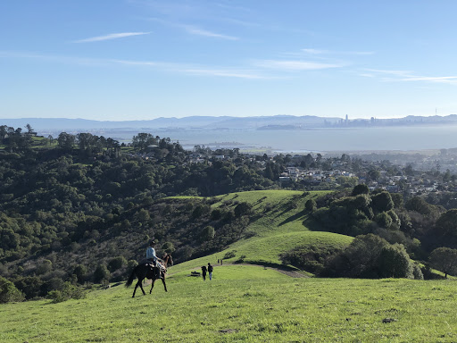 Wildcat Canyon Regional Park