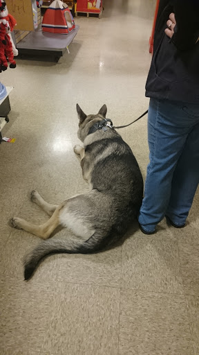 Pet Supply Store «PetSmart», reviews and photos, 3 McKenna Rd, Arden, NC 28704, USA