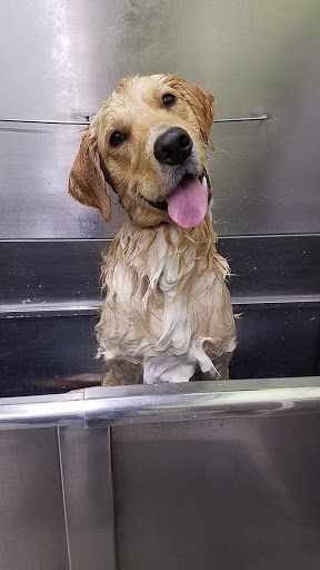 Pet Supply Store «Petapoluza Pet Supply & Grooming», reviews and photos, 114 N 36th St, Seattle, WA 98103, USA