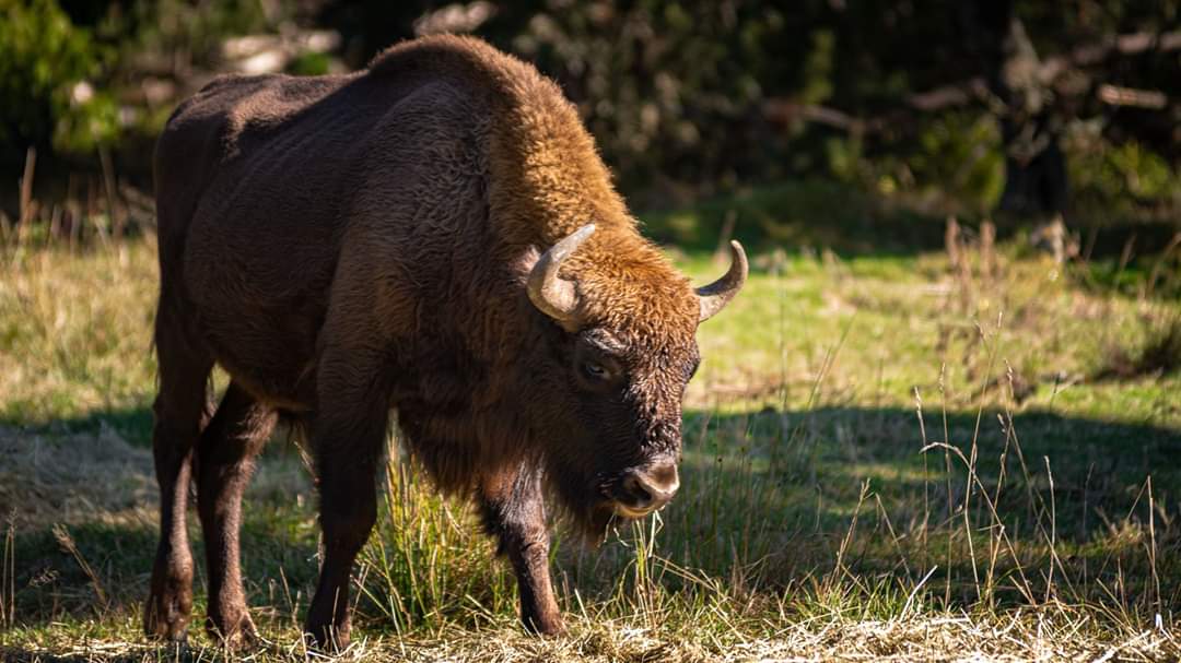 Photo n° 1 de l'avis de Laurent.o fait le 29/10/2019 à 10:33