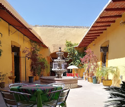 Plaza Jacaranda photo