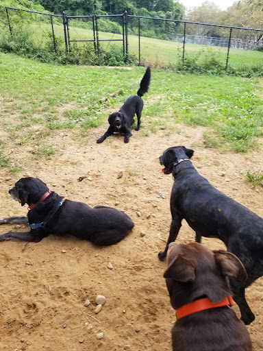 Dog Park «Forest Park Dog Run», reviews and photos, 8445 Park Ln S, Woodhaven, NY 11421, USA