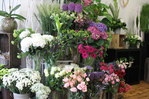 Blooming Amazing Flower Company - Flower Delivery in Dublin