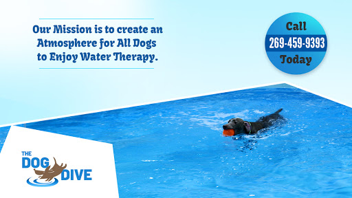 Pet Store «The Dog Dive», reviews and photos, 1613 Riverview Dr, Kalamazoo, MI 49004, USA