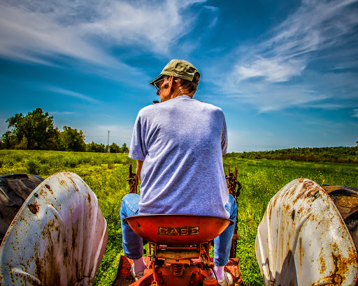 Miniature Golf Course «Christian Way Farm & Mini Golf», reviews and photos, 19590 Linville Rd, Hopkinsville, KY 42240, USA
