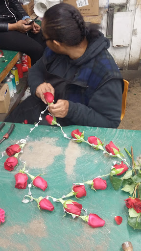 Florist «Flowers Unlimited», reviews and photos, 8621 S Stony Island Ave, Chicago, IL 60617, USA