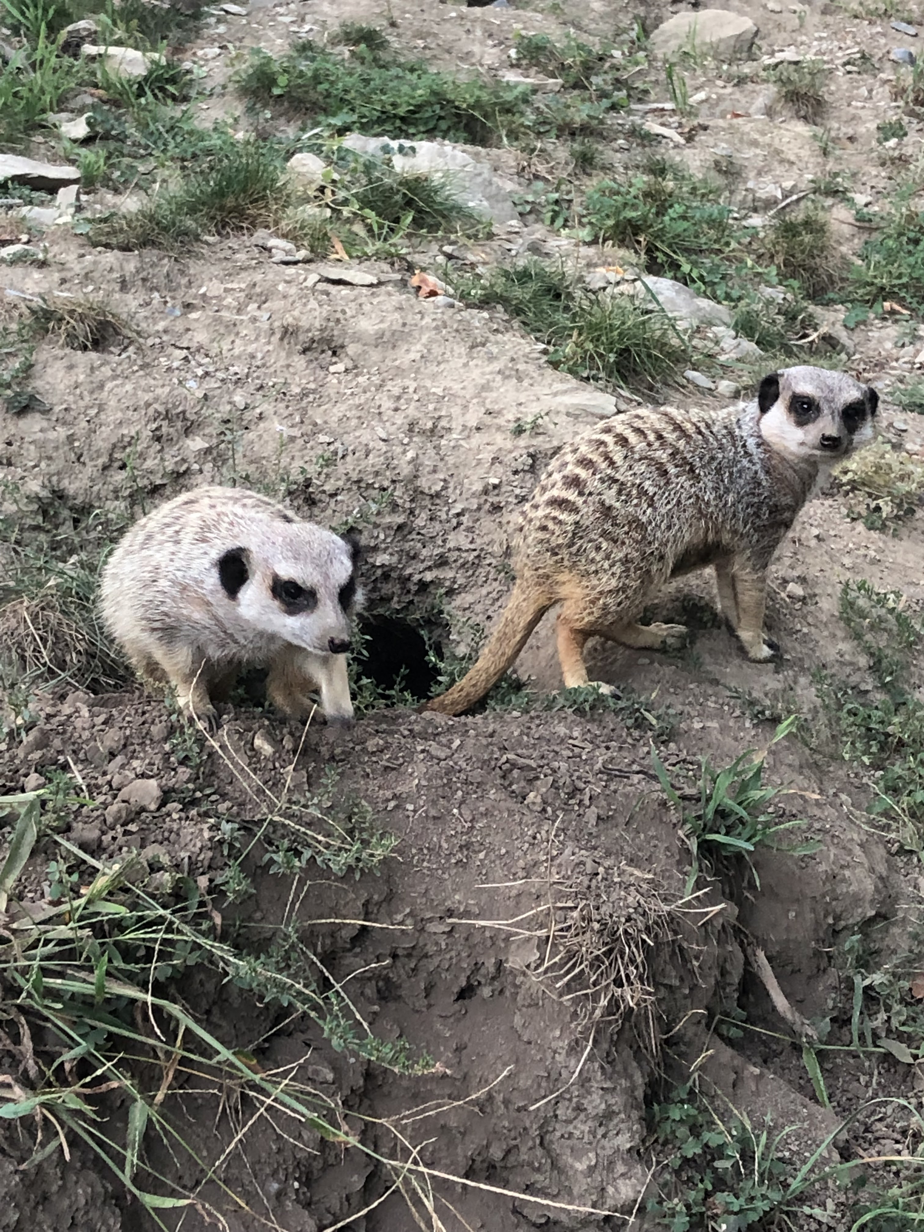 Photo n° 6 de l'avis de yanka.a fait le 20/08/2023 à 10:52